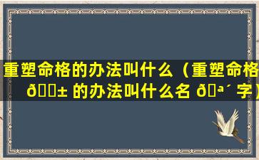 重塑命格的办法叫什么（重塑命格 🐱 的办法叫什么名 🪴 字）